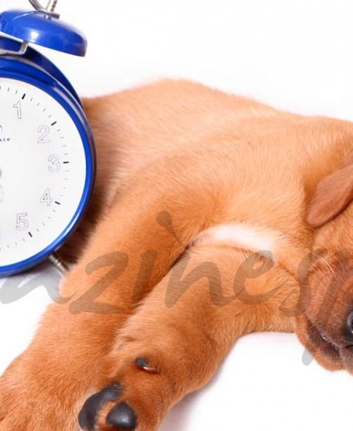 ¿Cómo afecta al sueño el cambio horario de este fin de semana?