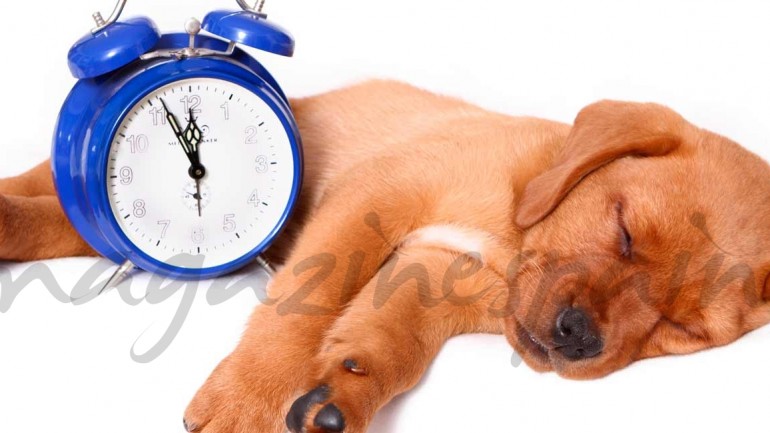 ¿Cómo afecta al sueño el cambio horario de este fin de semana?