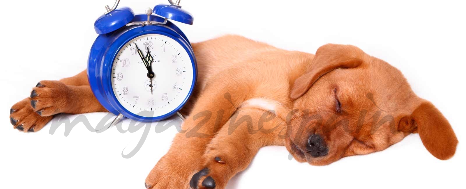 ¿Cómo afecta al sueño el cambio horario de este fin de semana?