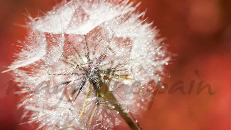 Tratamiento para el cambio de estación
