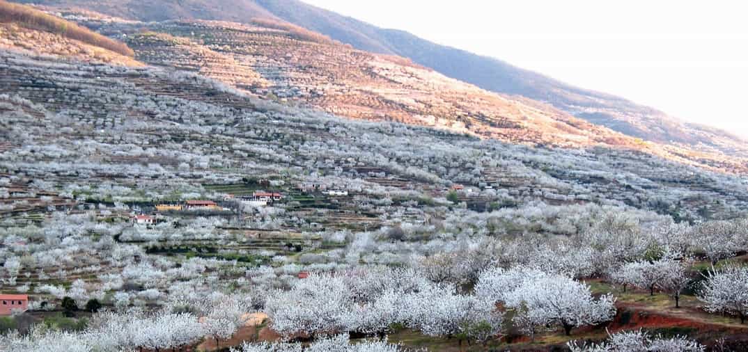 No te lo pierdas: Valle del Jerte