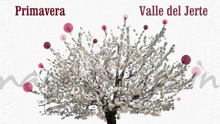 El Valle del Jerte… El despertar de la primavera