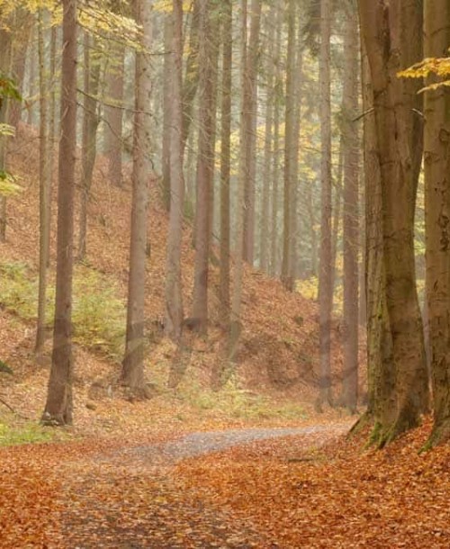 Viajes para un otoño inolvidable