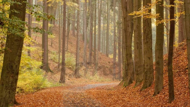 Viajes para un otoño inolvidable