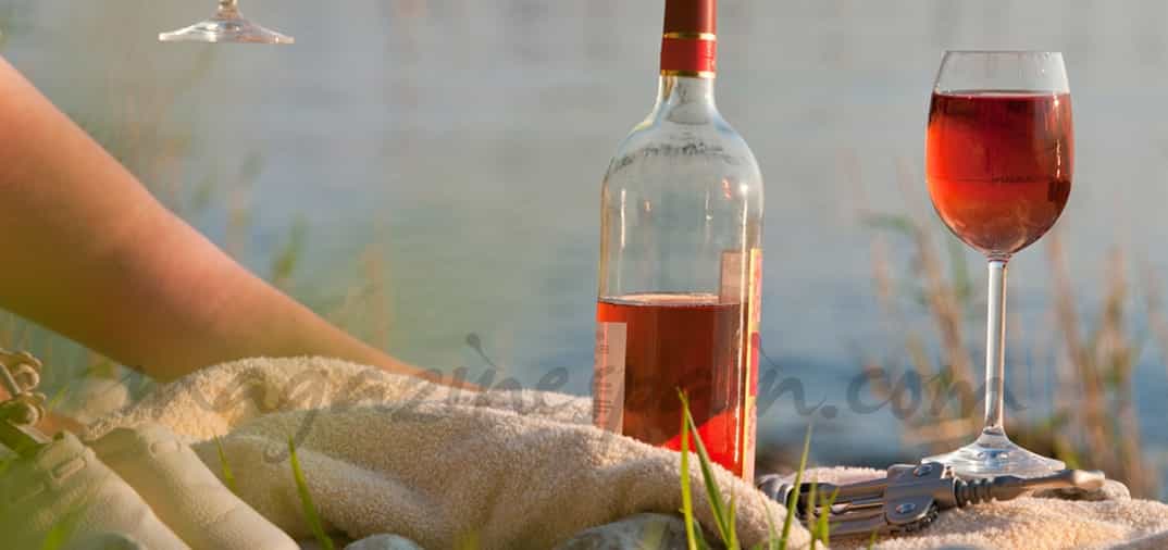 Vinos para el verano (II)