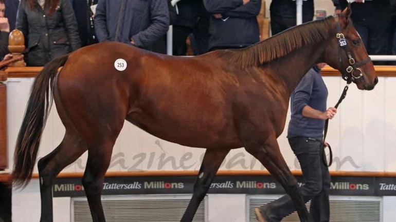 La yegua mas cara del mundo